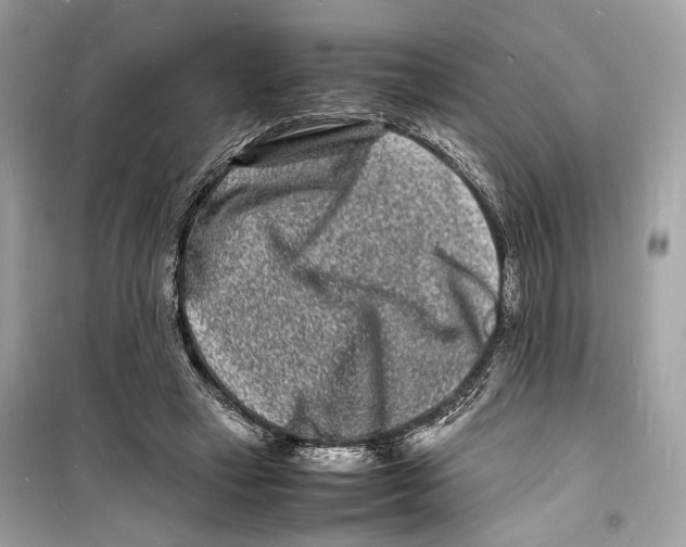 X0000098180449200805221541