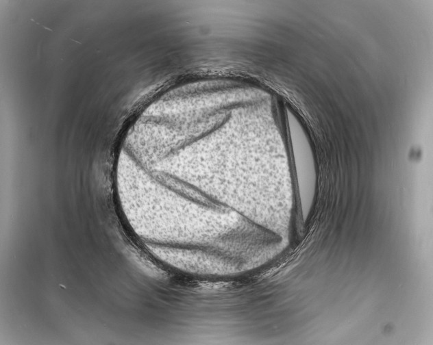 X0000098180450200805221541