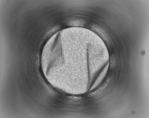 X0000098180453200805221541