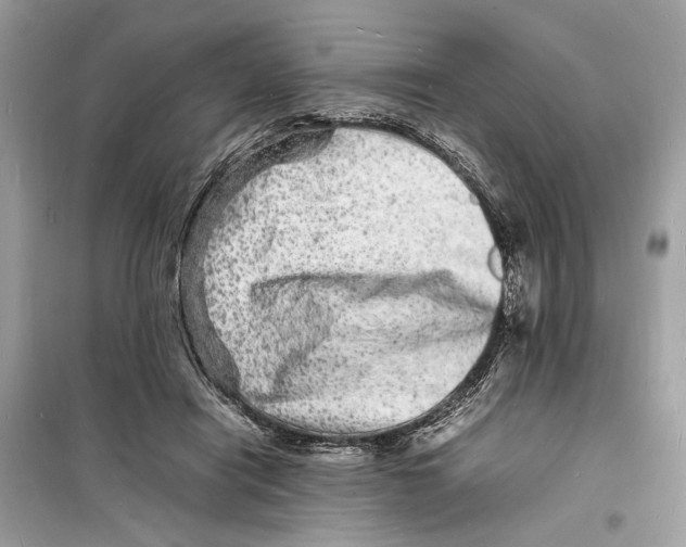 X0000098180454200805221541