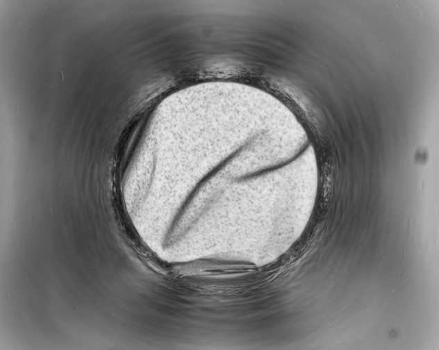 X0000098180455200805221541