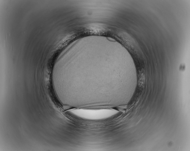 X0000098180456200805221541