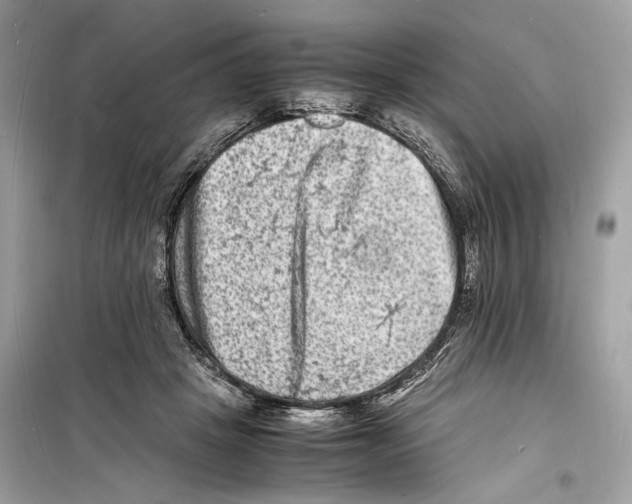 X0000098180457200805221541