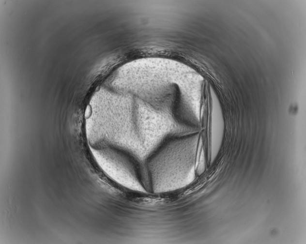 X0000098180458200805221541