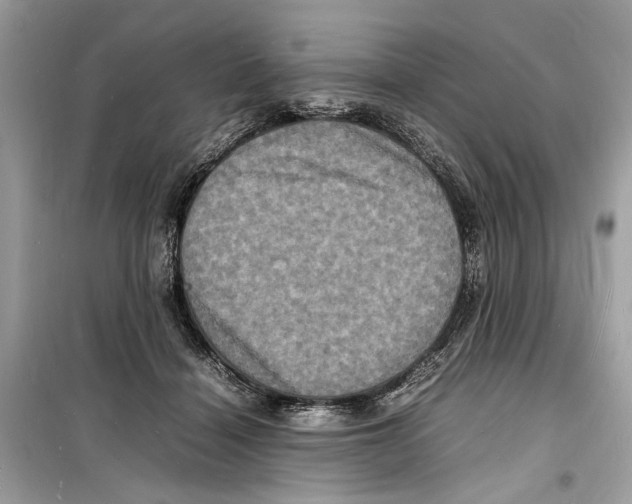 X0000098180460200805221541