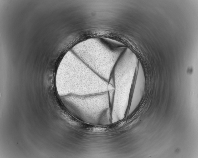 X0000098180462200805221541