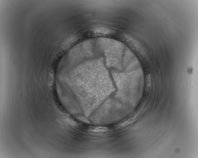 X0000098180463200805221541