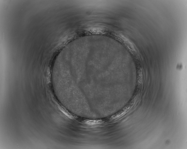 X0000098180465200805221541