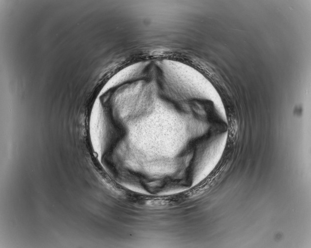 X0000098180470200805221541