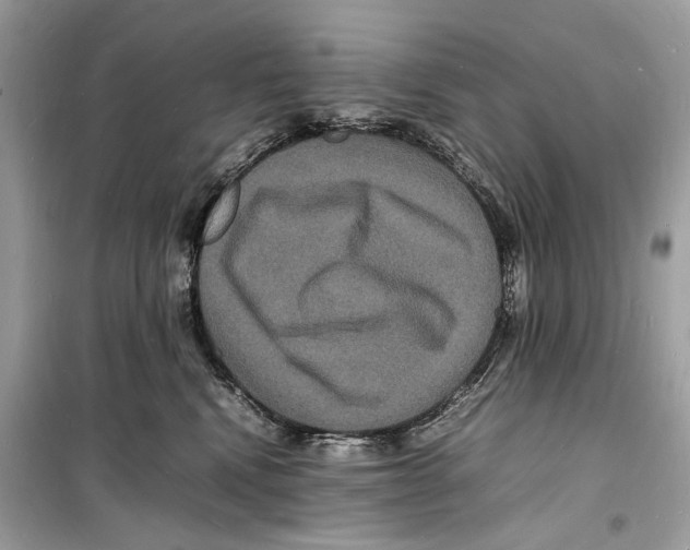 X0000098180472200805221541