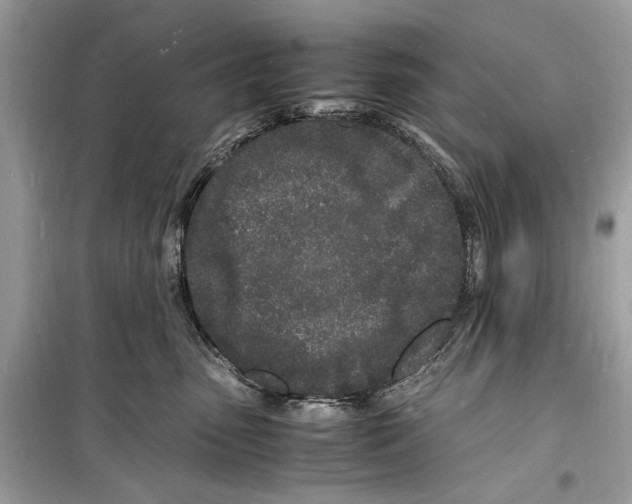 X0000098180475200805221541