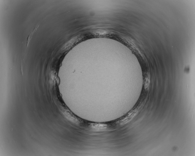 X0000098180476200805221541