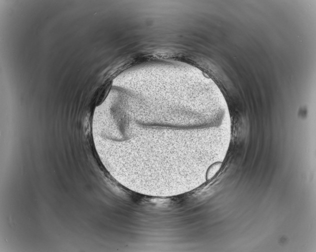 X0000098180478200805221541