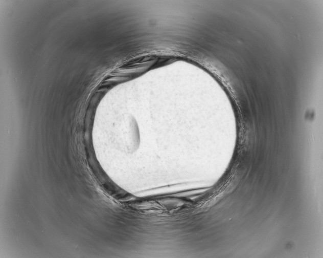 X0000098180481200805221541