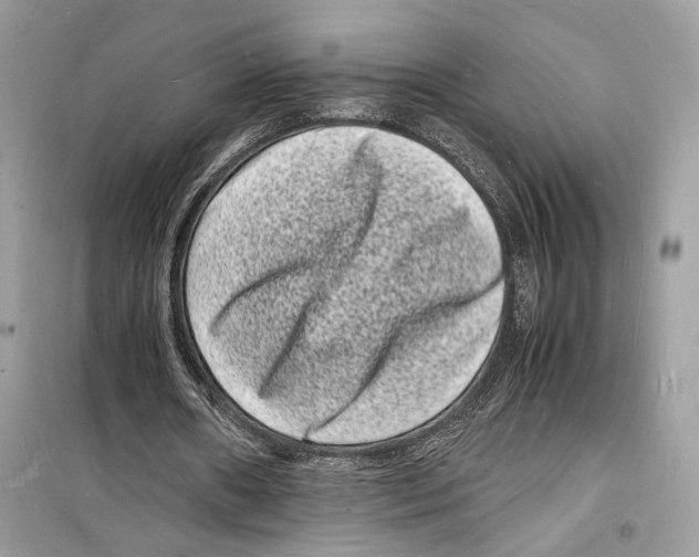 X0000098180482200805221541