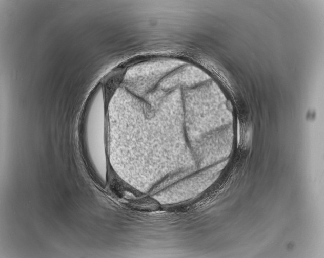 X0000098180483200805221541