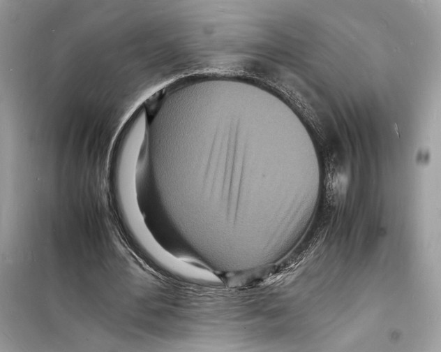 X0000098180484200805221541