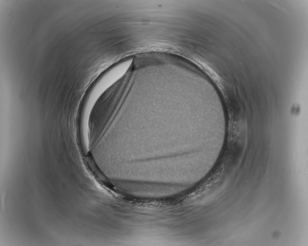 X0000098180485200805221541