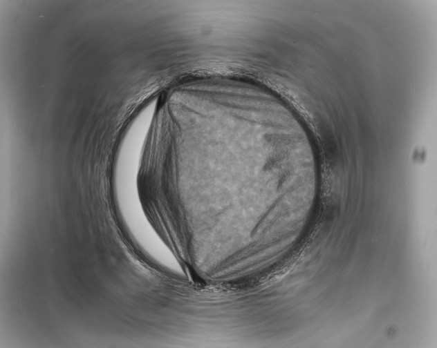 X0000098180489200805221541