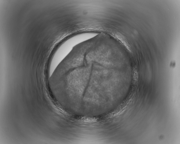 X0000098180491200805221541