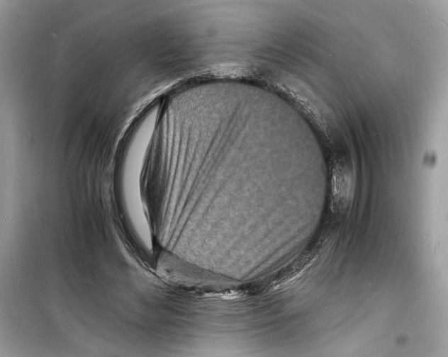 X0000098180492200805221541