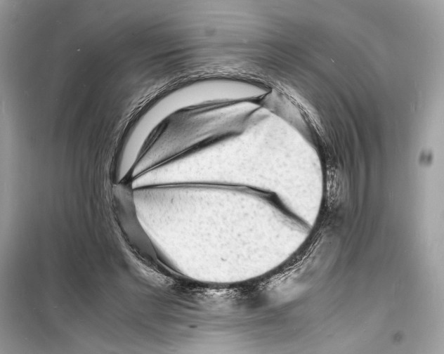 X0000098180493200805221541