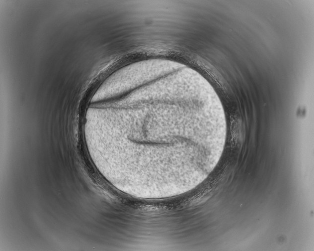 X0000098180494200805221541