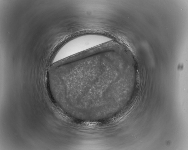 X0000098180495200805221541