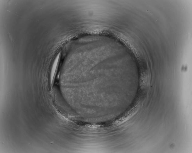 X0000098180497200805221541