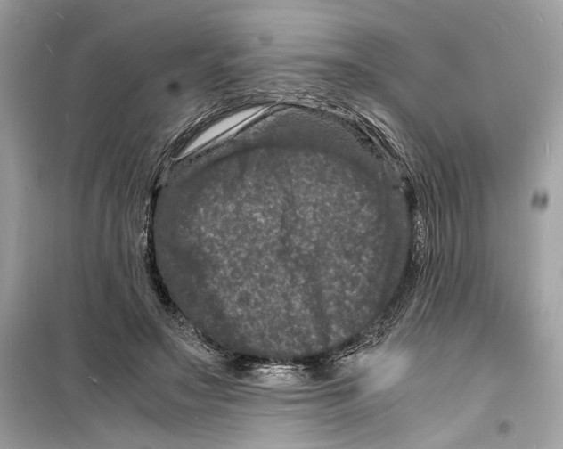 X0000098180499200805221541