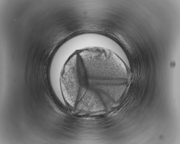 X0000098180500200805221541