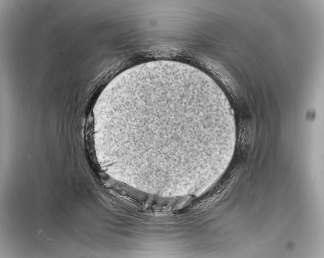 X0000098180501200805221541