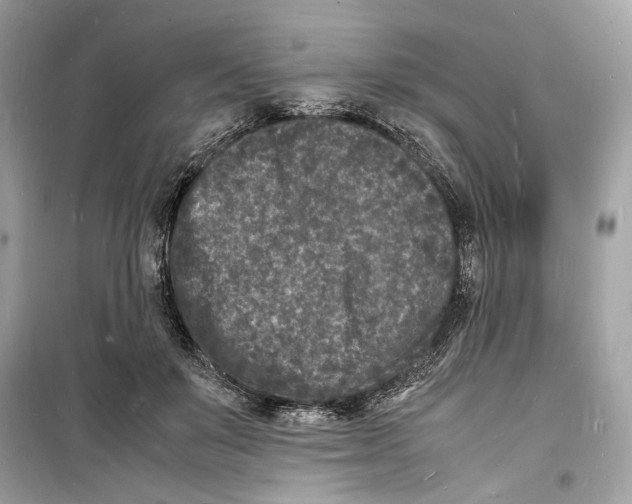 X0000098180503200805221541