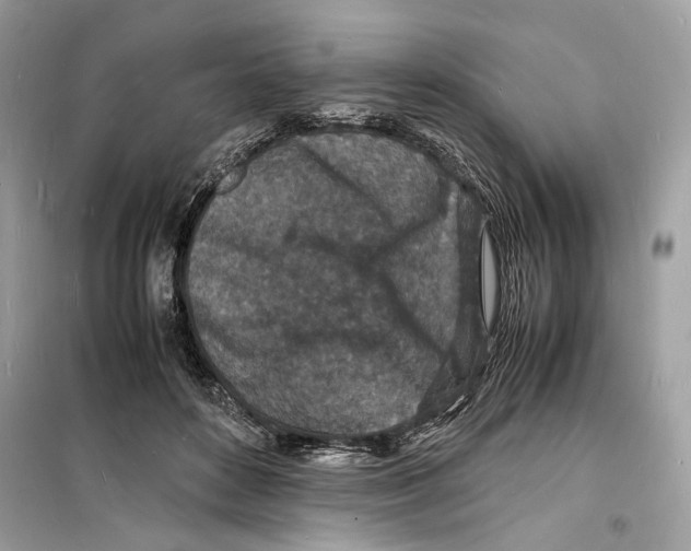 X0000098180504200805221541