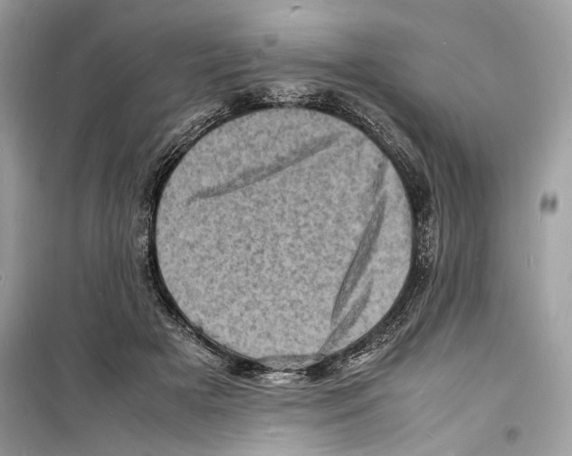 X0000098180505200805221540