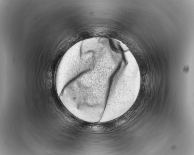 X0000098180506200805221540