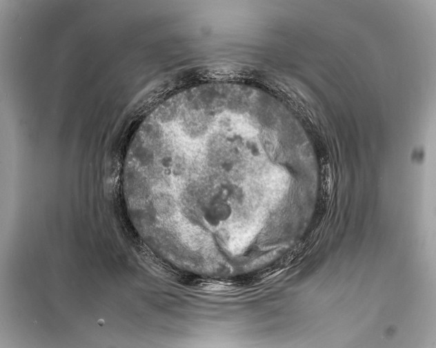 X0000098180507200805221540