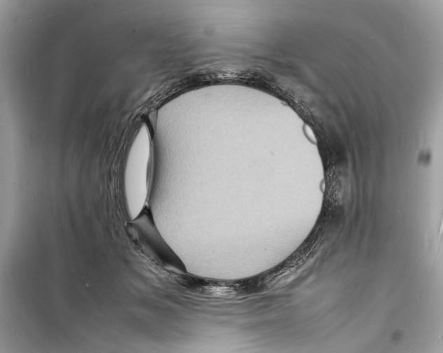 X0000098180509200805221540