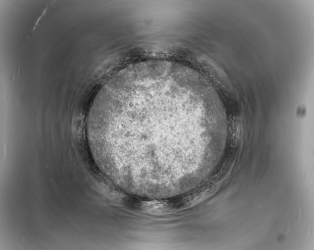 X0000098180511200805221540