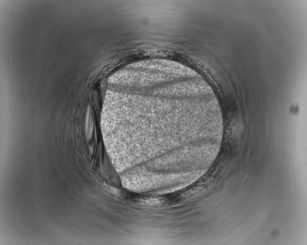 X0000098180513200805221540