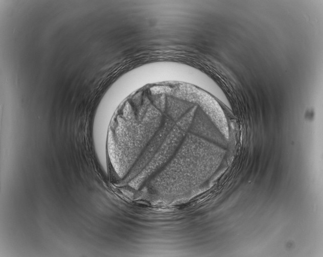 X0000098180514200805221540