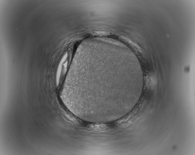 X0000098180517200805221540