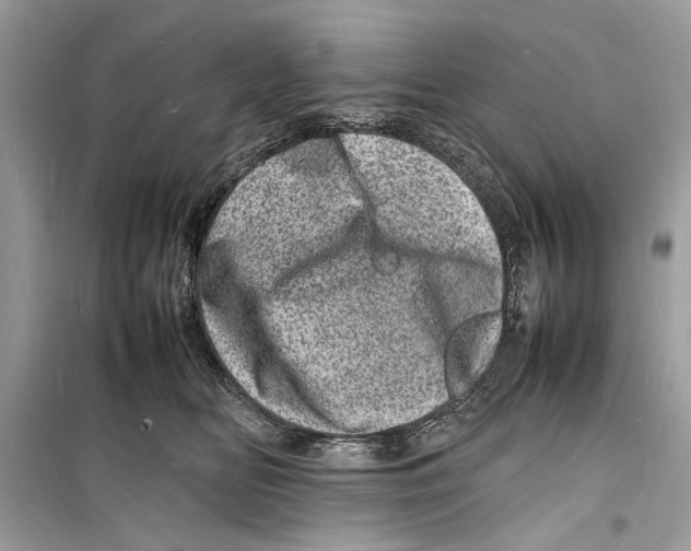 X0000098180518200805221540