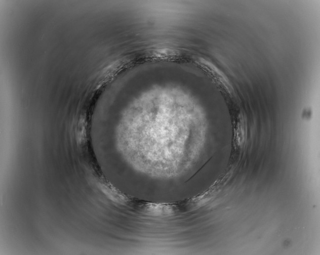 X0000098180520200805221540