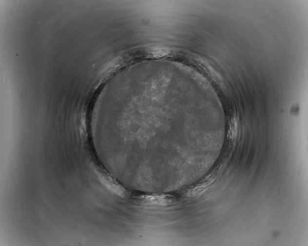 X0000098180524200805221540