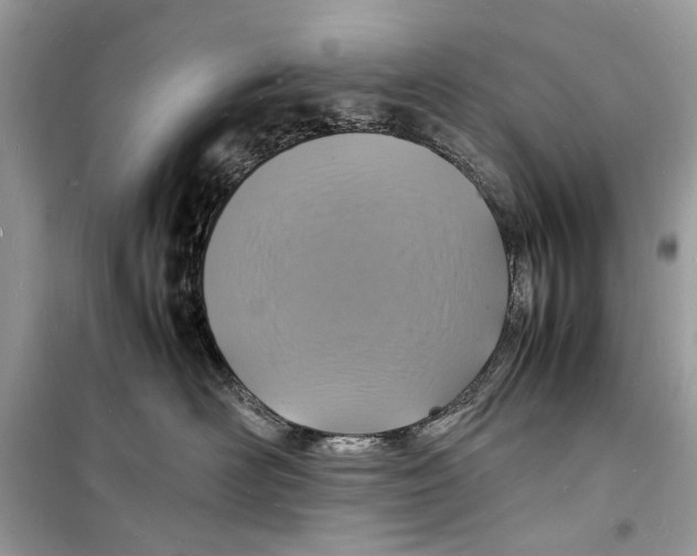 X0000098180526200805221540