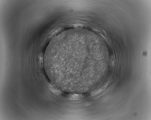 X0000098180527200805221540