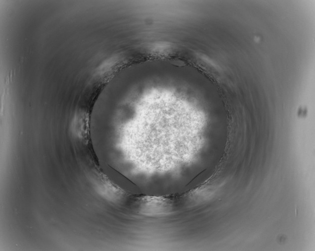 X0000098180528200805221540