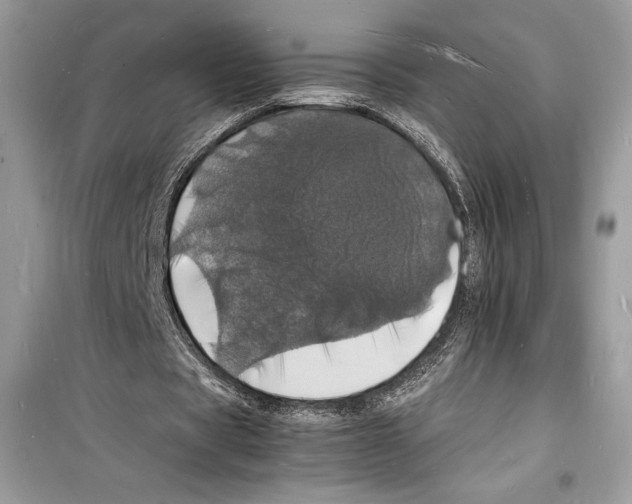 X0000098180529200805221539