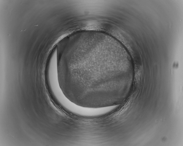 X0000098180530200805221539